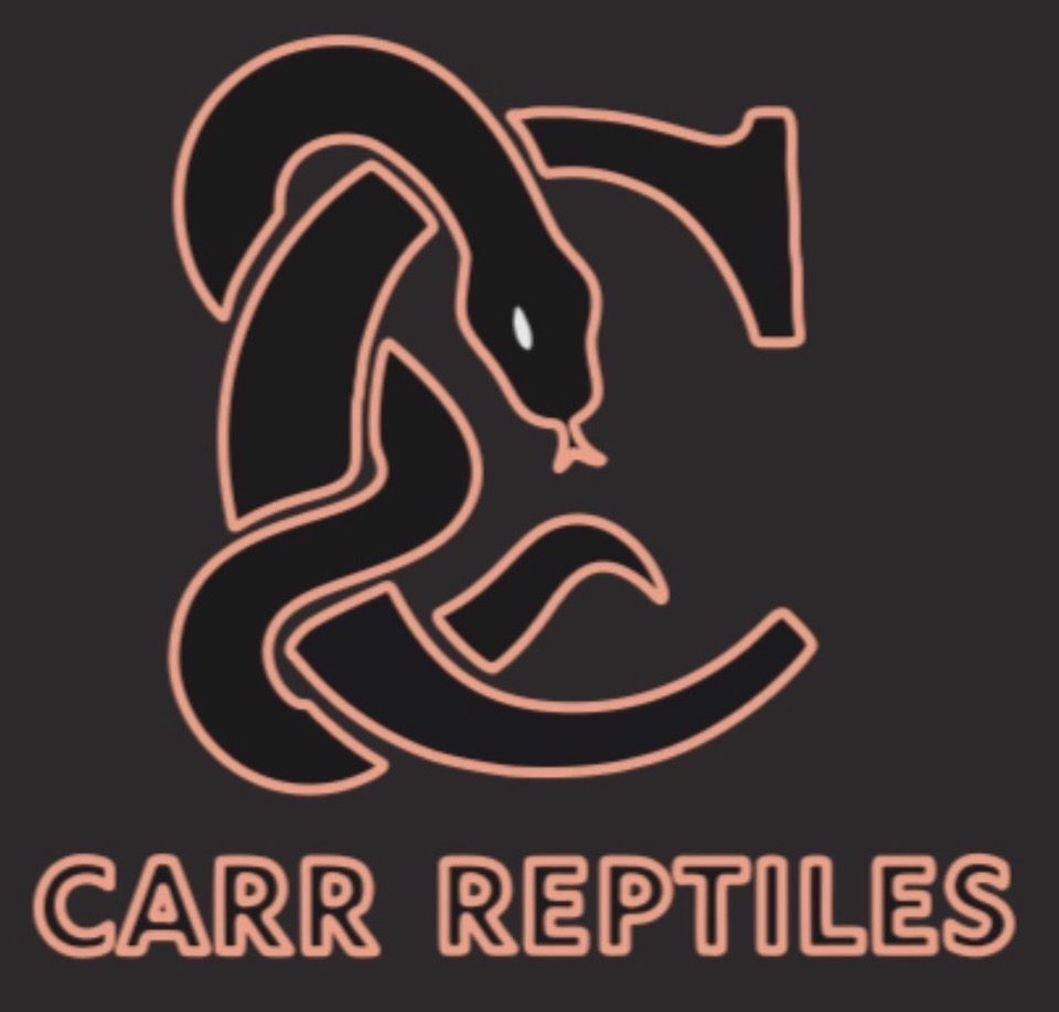 Carr Reptiles logo: a peach outlined snake wrapped around the letter C